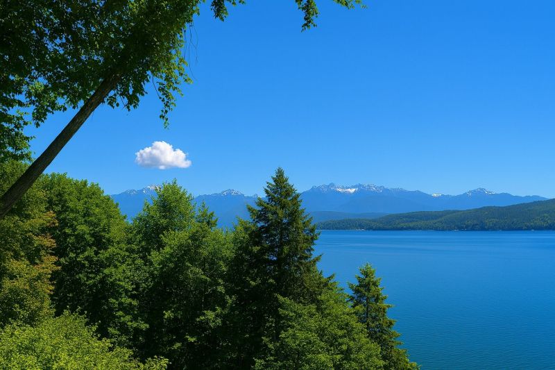 Hero for Home Services Options