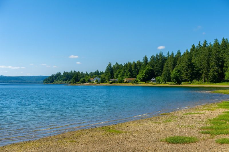 Hero for Home Services Options